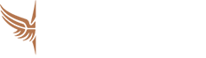 xc sports(中国区)-官方网站